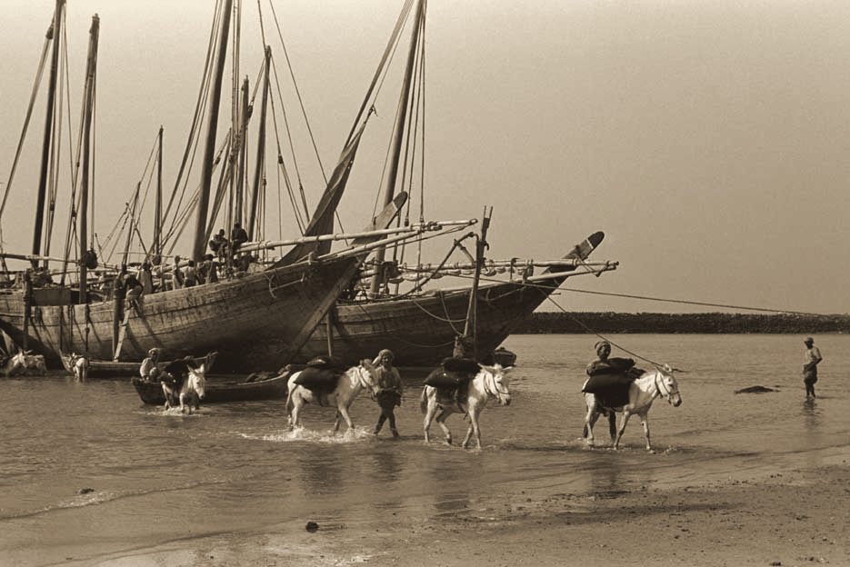 Dhows unloading by donkey on the shore of Dubai Creek, 1948