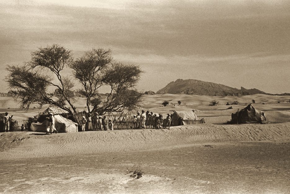 A camp beneath a ghaf tree near Jebel Hafeet, 1948